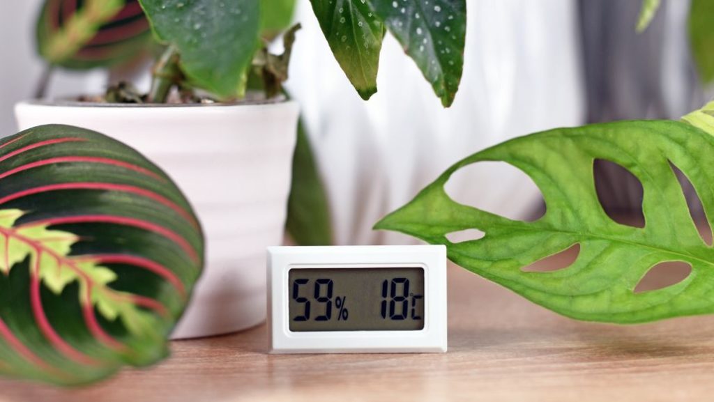 optymalna-wilgotność-powietrza-w-domu